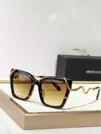 Picture of Roberto Cavalli Sunglasses _SKUfw67545003fw